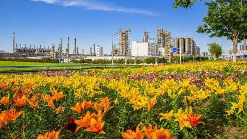 胶粘剂行业：揭秘国内胶粘剂十大品牌背后的技术实力